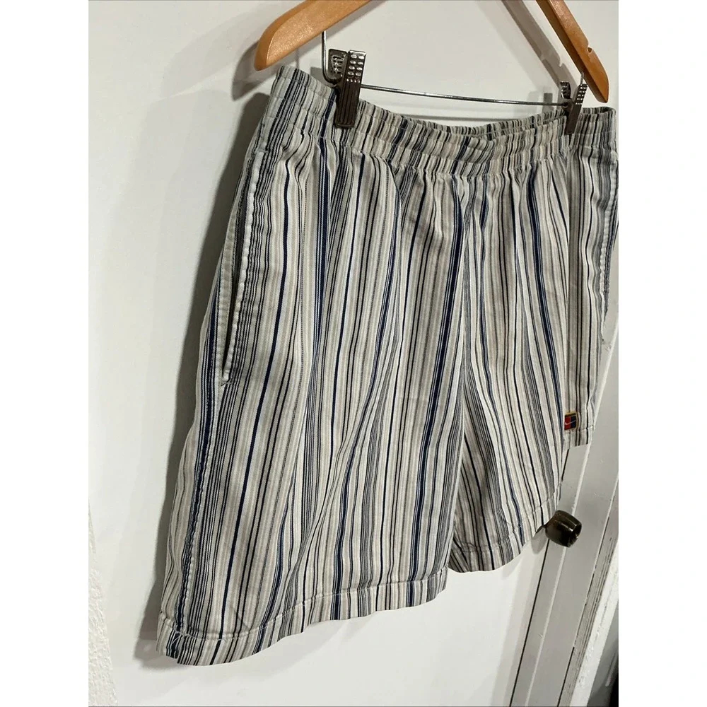 Vintage Nike Challenge Court Shorts, Large, Blue Stripes